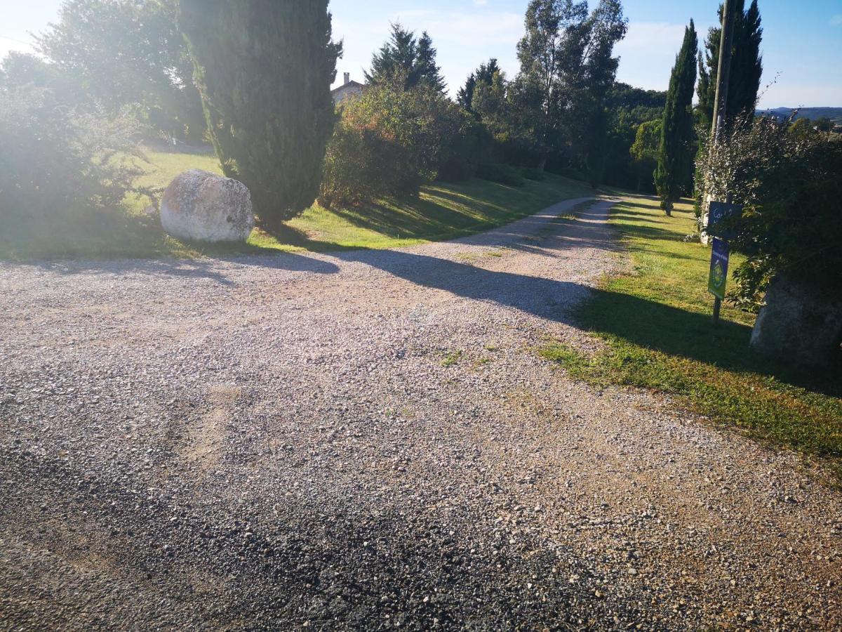 Castel Mazars Bed and Breakfast Castelnau-de-Montmiral Εξωτερικό φωτογραφία