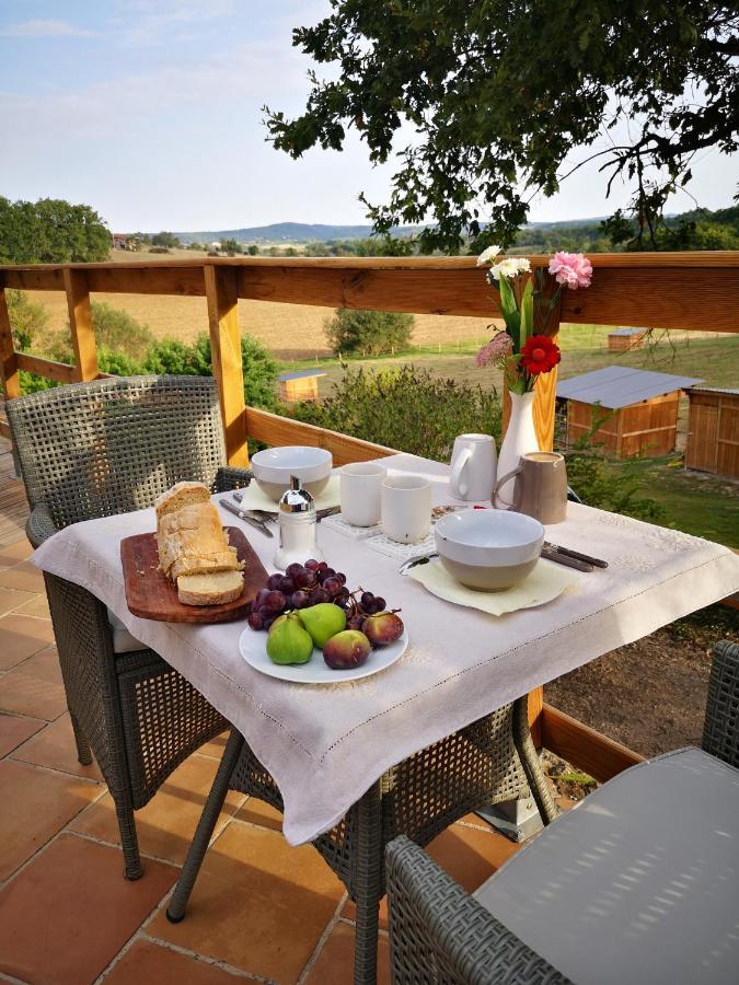 Castel Mazars Bed and Breakfast Castelnau-de-Montmiral Εξωτερικό φωτογραφία