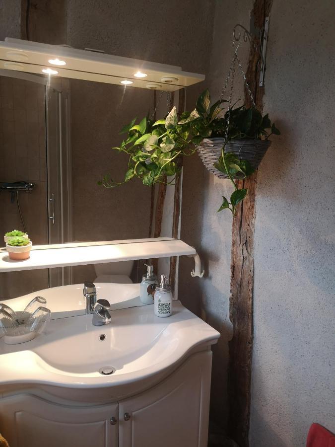 Castel Mazars Bed and Breakfast Castelnau-de-Montmiral Εξωτερικό φωτογραφία