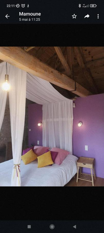 Castel Mazars Bed and Breakfast Castelnau-de-Montmiral Εξωτερικό φωτογραφία